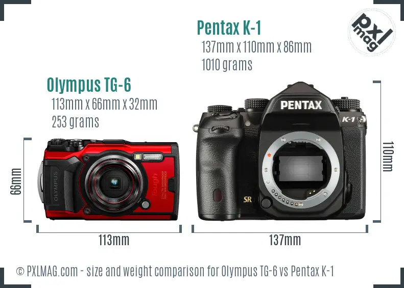 Olympus TG-6 vs Pentax K-1 size comparison