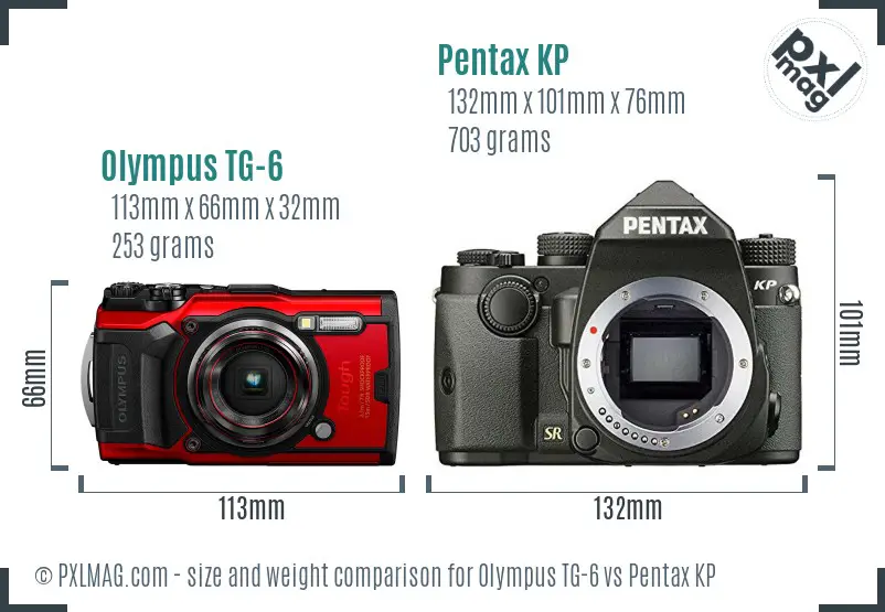 Olympus TG-6 vs Pentax KP size comparison