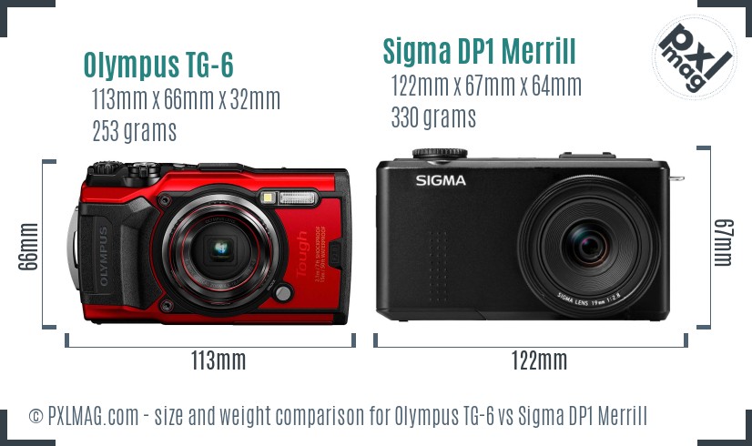 Olympus TG-6 vs Sigma DP1 Merrill size comparison