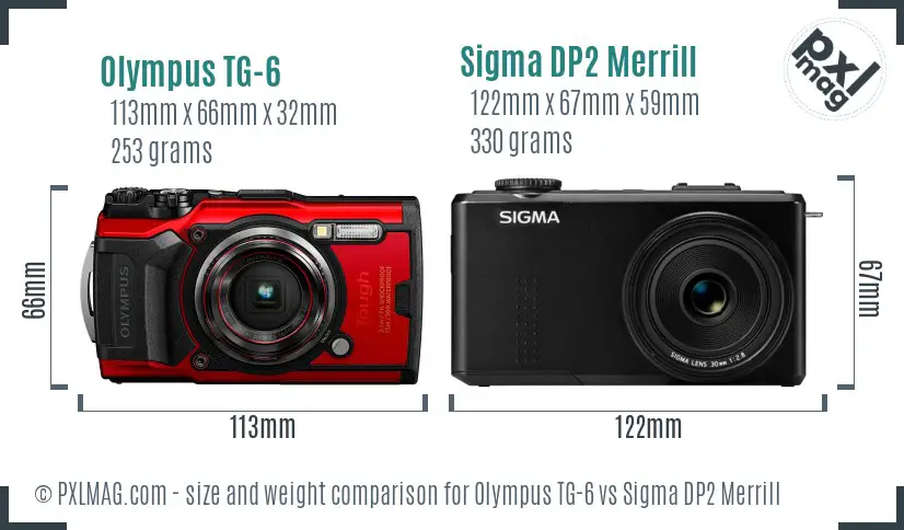 Olympus TG-6 vs Sigma DP2 Merrill size comparison