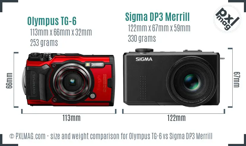 Olympus TG-6 vs Sigma DP3 Merrill size comparison