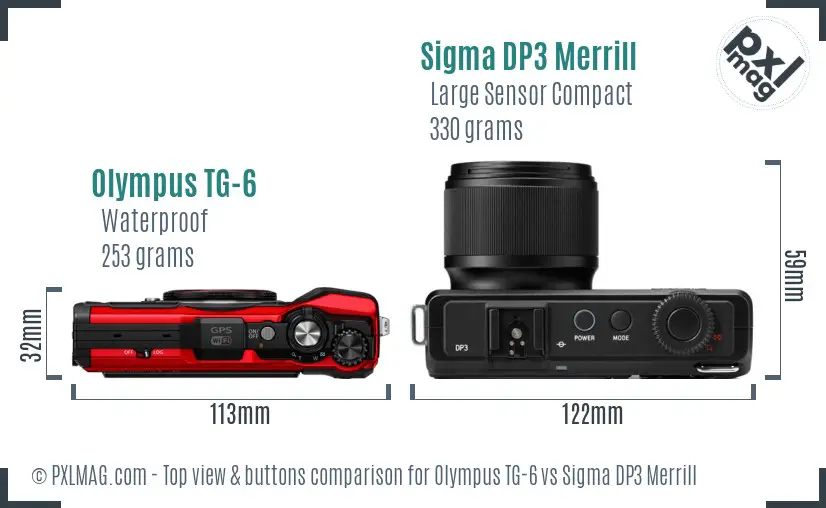 Olympus TG-6 vs Sigma DP3 Merrill top view buttons comparison