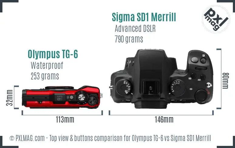 Olympus TG-6 vs Sigma SD1 Merrill top view buttons comparison