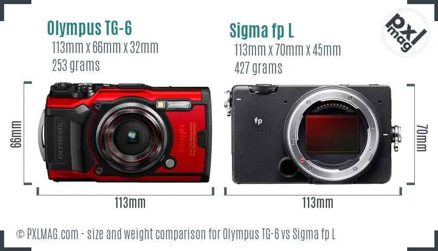 Olympus TG-6 vs Sigma fp L size comparison