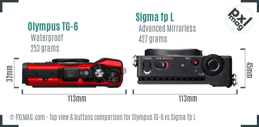 Olympus TG-6 vs Sigma fp L top view buttons comparison