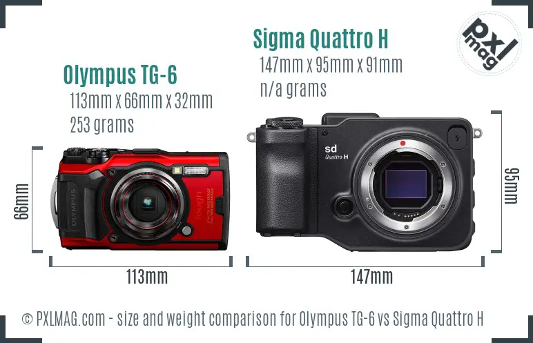 Olympus TG-6 vs Sigma Quattro H size comparison