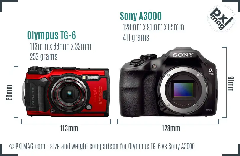 Olympus TG-6 vs Sony A3000 size comparison