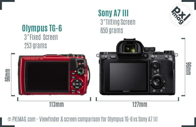 Olympus TG-6 vs Sony A7 III Screen and Viewfinder comparison