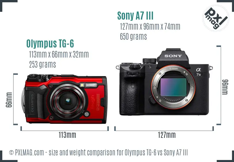 Olympus TG-6 vs Sony A7 III size comparison
