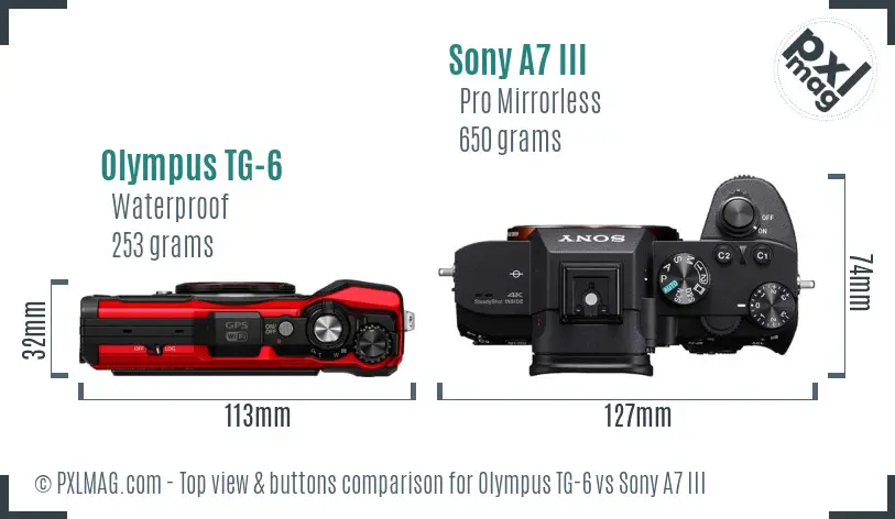 Olympus TG-6 vs Sony A7 III top view buttons comparison