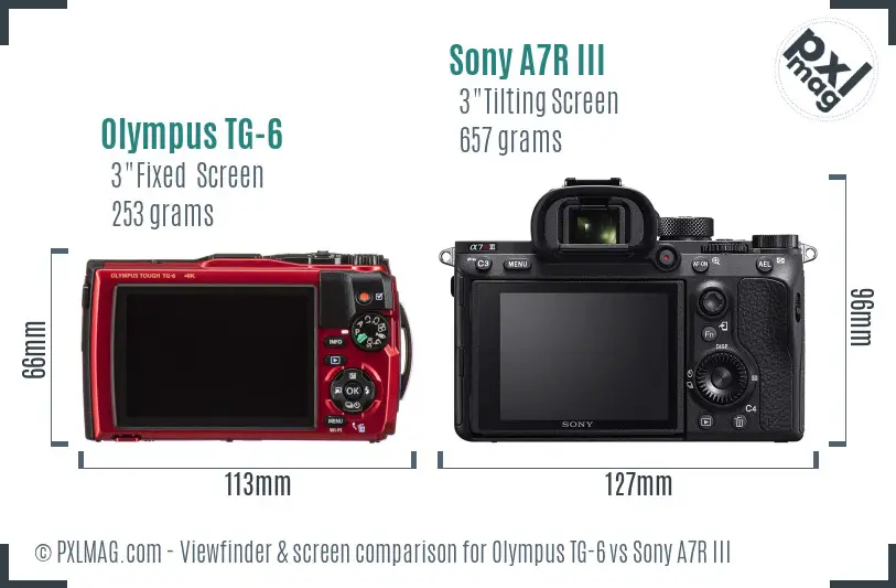 Olympus TG-6 vs Sony A7R III Screen and Viewfinder comparison
