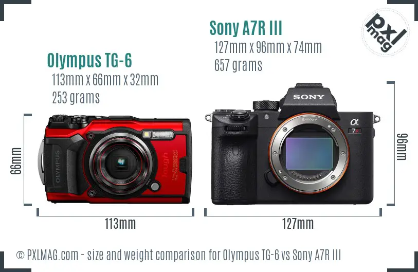 Olympus TG-6 vs Sony A7R III size comparison