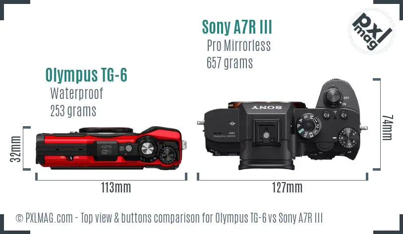 Olympus TG-6 vs Sony A7R III top view buttons comparison