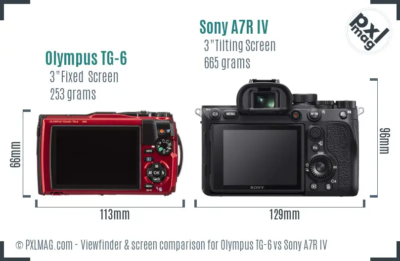 Olympus TG-6 vs Sony A7R IV Screen and Viewfinder comparison