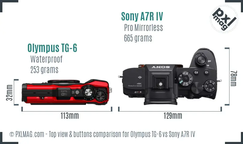 Olympus TG-6 vs Sony A7R IV top view buttons comparison