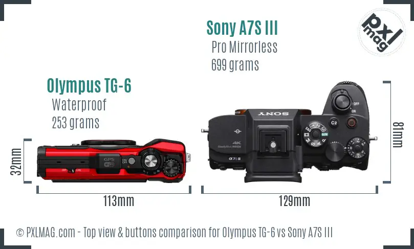 Olympus TG-6 vs Sony A7S III top view buttons comparison
