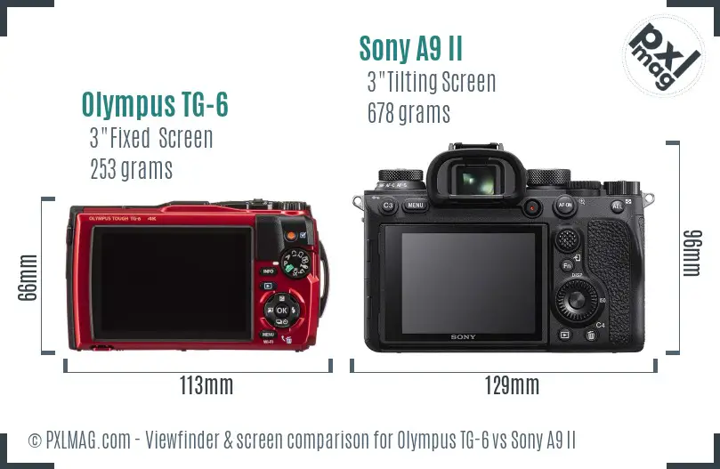 Olympus TG-6 vs Sony A9 II Screen and Viewfinder comparison