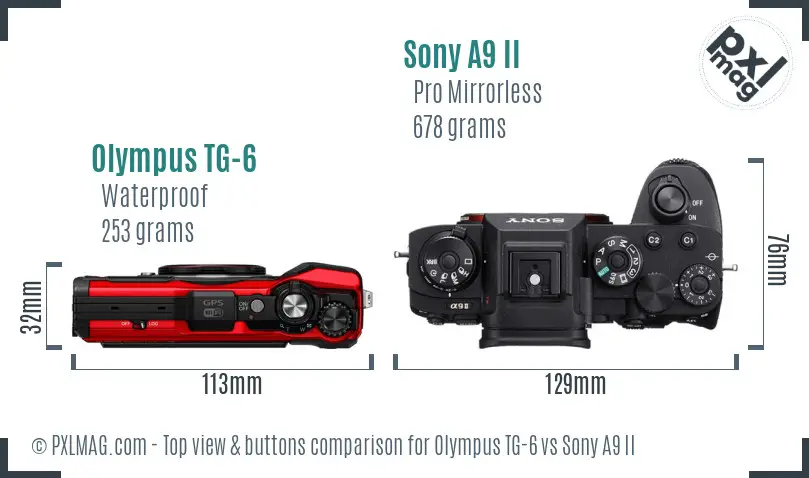 Olympus TG-6 vs Sony A9 II top view buttons comparison