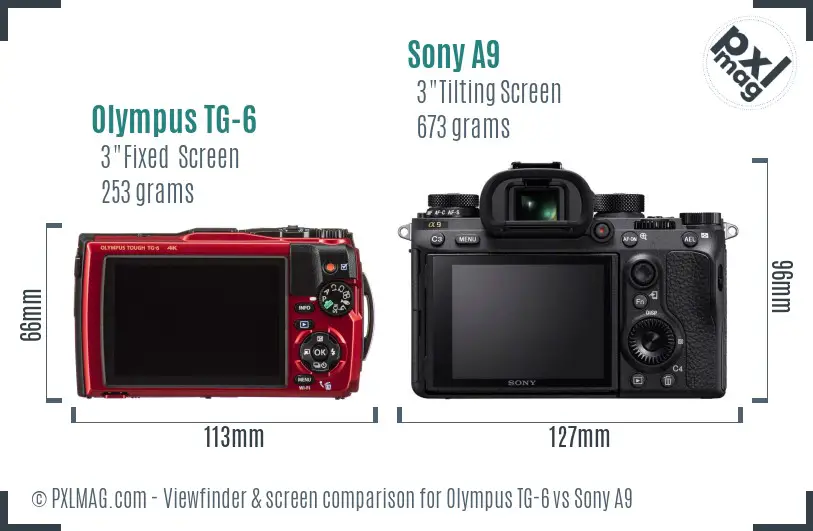 Olympus TG-6 vs Sony A9 Screen and Viewfinder comparison