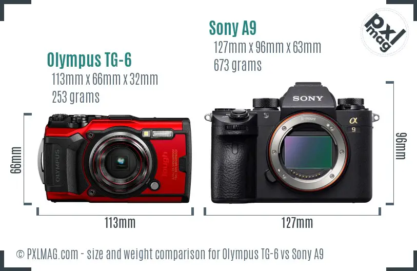 Olympus TG-6 vs Sony A9 size comparison