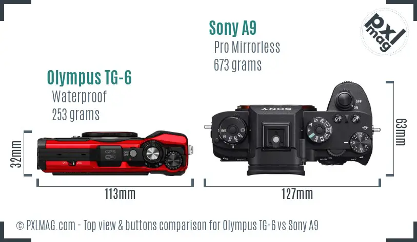 Olympus TG-6 vs Sony A9 top view buttons comparison