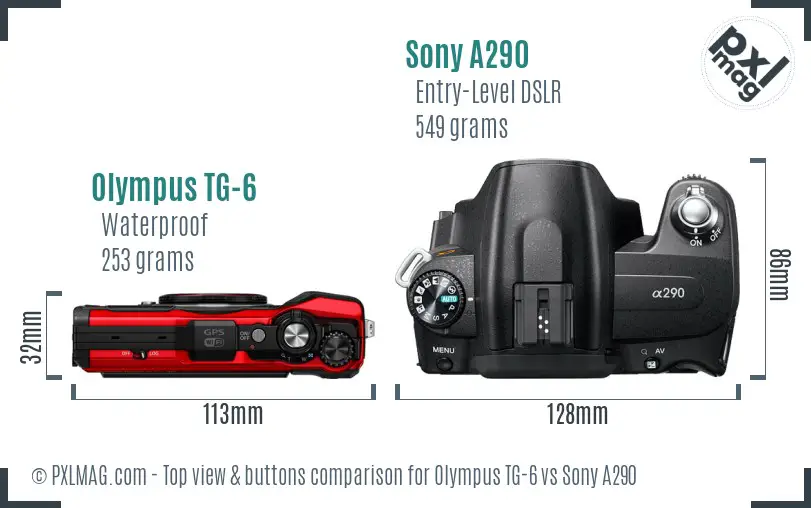 Olympus TG-6 vs Sony A290 top view buttons comparison