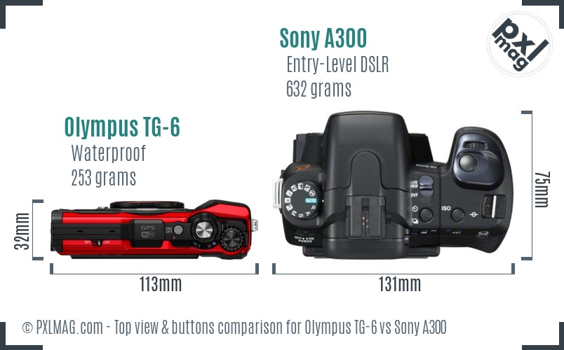 Olympus TG-6 vs Sony A300 top view buttons comparison