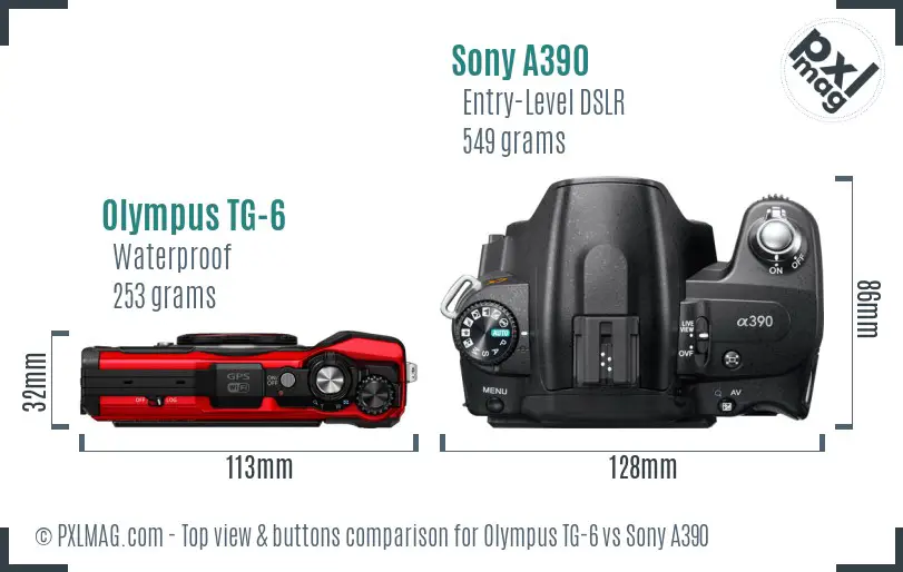 Olympus TG-6 vs Sony A390 top view buttons comparison