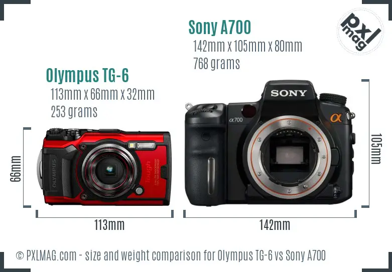 Olympus TG-6 vs Sony A700 size comparison
