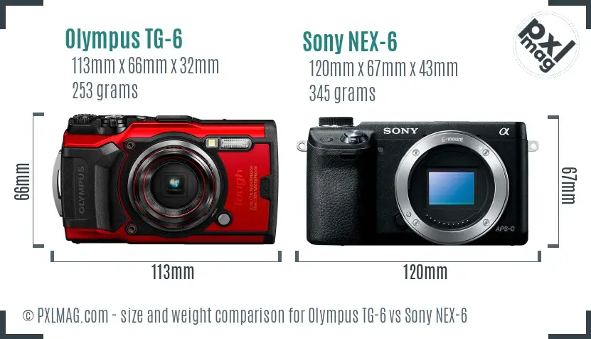 Olympus TG-6 vs Sony NEX-6 size comparison