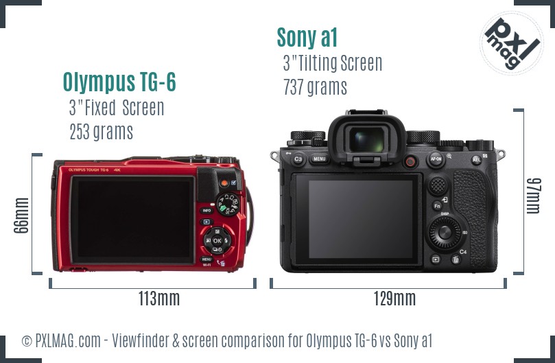 Olympus TG-6 vs Sony a1 Screen and Viewfinder comparison