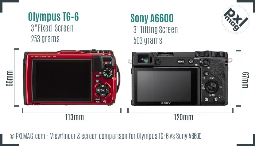 Olympus TG-6 vs Sony A6600 Screen and Viewfinder comparison