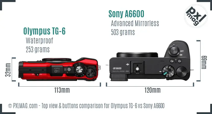 Olympus TG-6 vs Sony A6600 top view buttons comparison