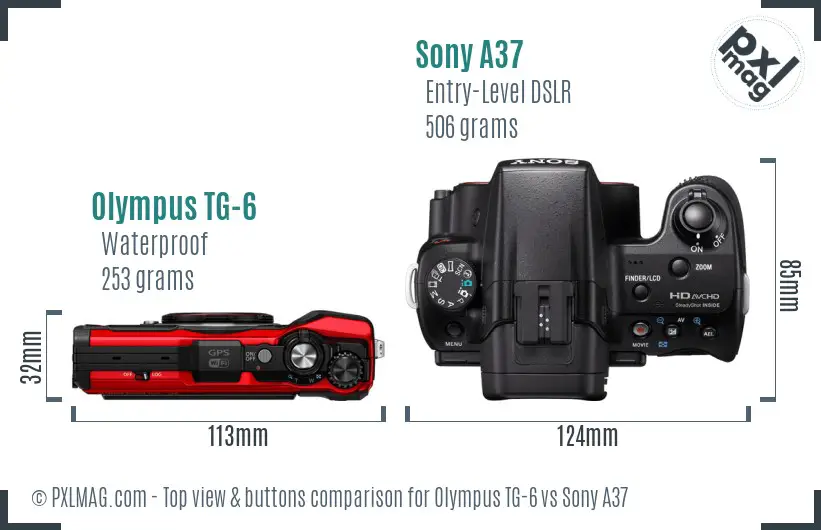 Olympus TG-6 vs Sony A37 top view buttons comparison