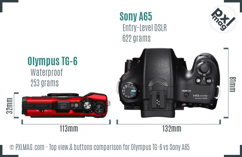 Olympus TG-6 vs Sony A65 top view buttons comparison
