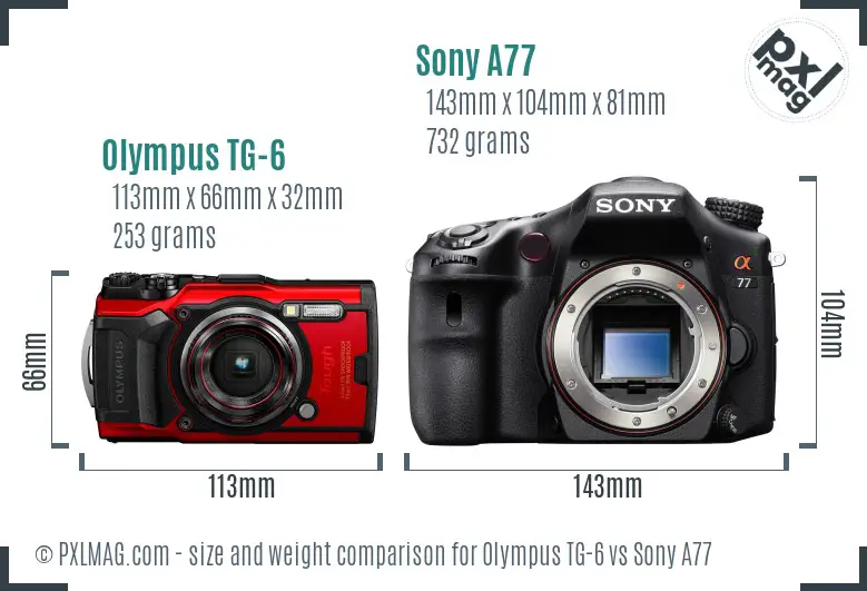 Olympus TG-6 vs Sony A77 size comparison