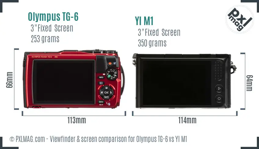 Olympus TG-6 vs YI M1 Screen and Viewfinder comparison