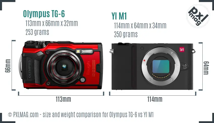 Olympus TG-6 vs YI M1 size comparison