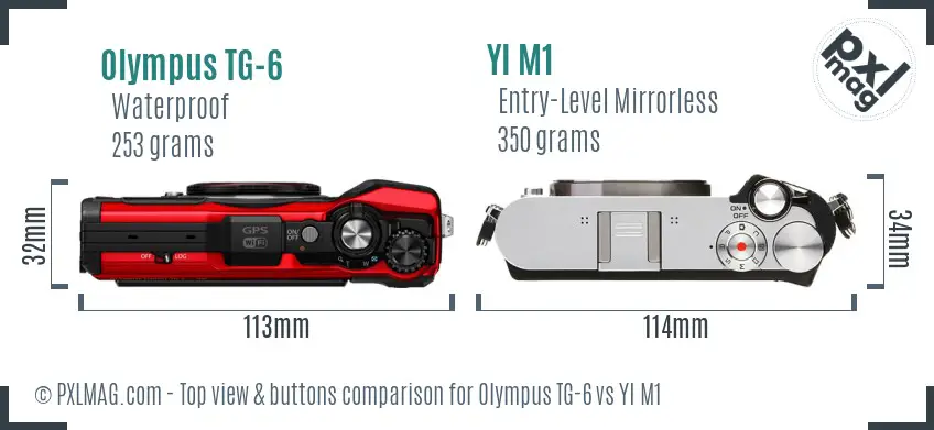 Olympus TG-6 vs YI M1 top view buttons comparison