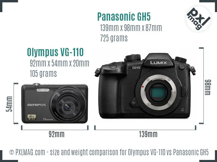 Olympus VG-110 vs Panasonic GH5 size comparison