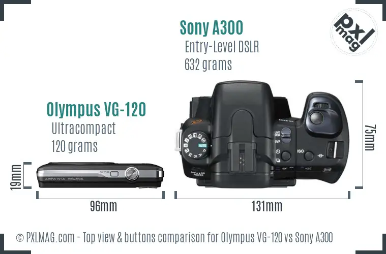 Olympus VG-120 vs Sony A300 top view buttons comparison