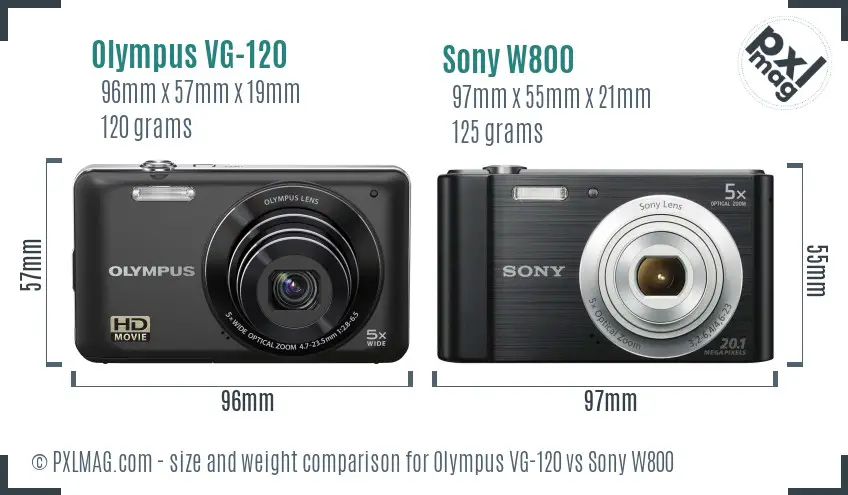 Olympus VG-120 vs Sony W800 size comparison