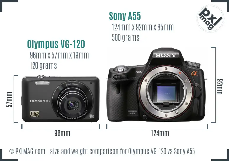 Olympus VG-120 vs Sony A55 size comparison