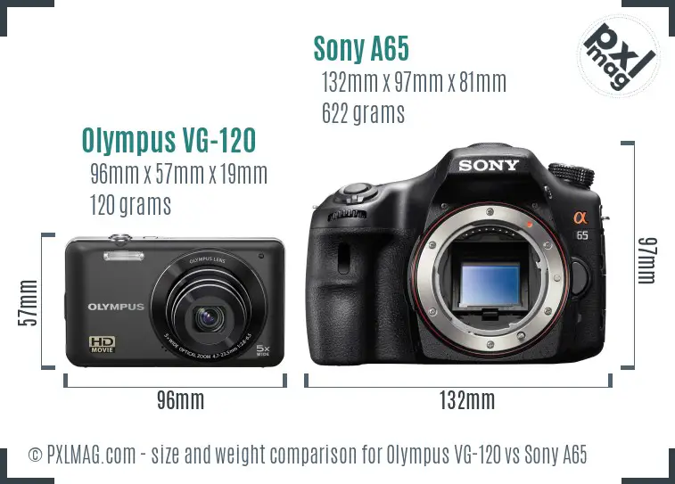Olympus VG-120 vs Sony A65 size comparison