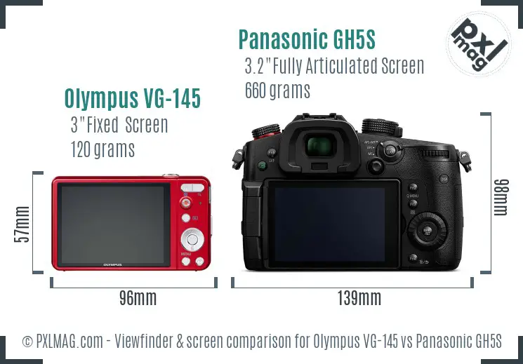 Olympus VG-145 vs Panasonic GH5S Screen and Viewfinder comparison