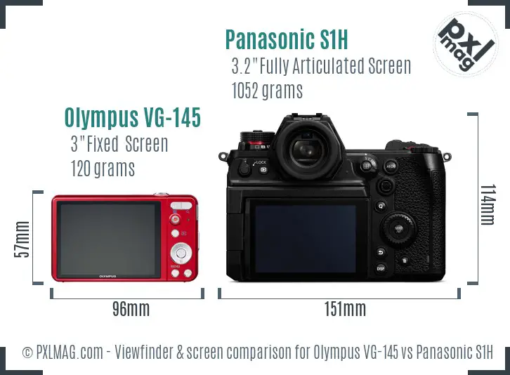 Olympus VG-145 vs Panasonic S1H Screen and Viewfinder comparison