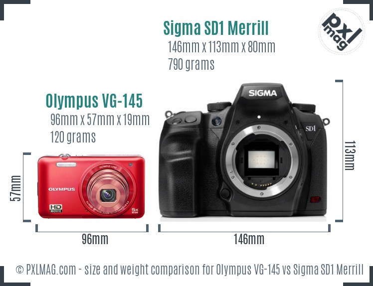 Olympus VG-145 vs Sigma SD1 Merrill size comparison Olympus VG-145 vs Sigma SD1 Merrill size comparison