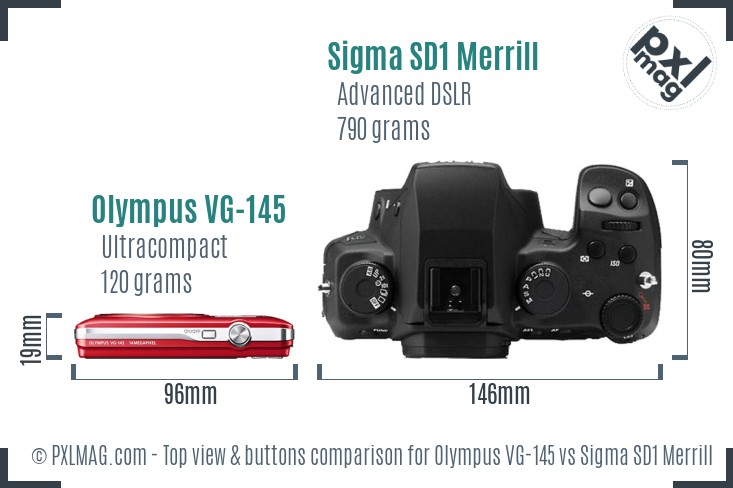 Olympus VG-145 vs Sigma SD1 Merrill top view buttons comparison