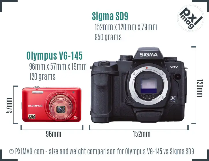 Olympus VG-145 vs Sigma SD9 size comparison