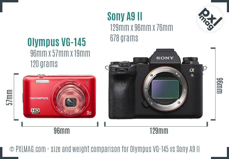 Olympus VG-145 vs Sony A9 II size comparison